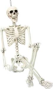 lot 1172 image: Abakuku 5.4 ft Posable Halloween Skeleton Decorations,Human Bones for Halloween Party with Movable Joints,for Haunted Houses, Front Lawn, Graveyard Props - Retail $70