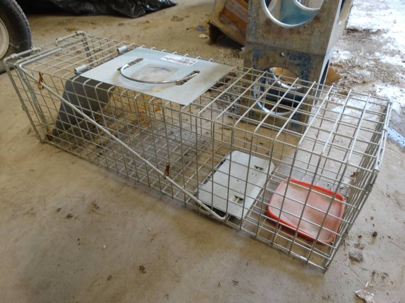 lot 13874 image: Small animal trap.