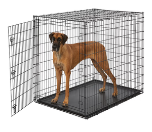 lot 9927 image: Large Black Metal Dog Crate 28x30x43