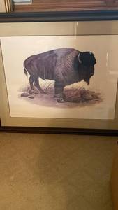 lot 1304 image: Framed Buffalo print by Robert Dorman for University of Colorado Boulder, frame 29x36