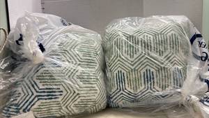 lot 1409 image: Two Throw pillows