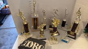 lot 3535 image: Trophies and Toro leaf catcher new
