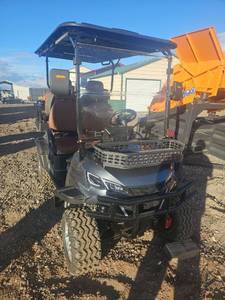 lot 11192532 image: Luxury 4-Seater Golf Cart with Premium Features