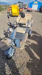 lot 11192556 image: IRGC40 High-End Mini Golf Cart (PurpleGrey)