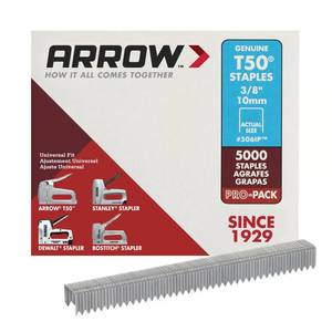 lot 3204 image: Arrow T50 38 in. W X 38 in. L 18 Ga. Flat Crown Heavy Duty Staples 5000 pk