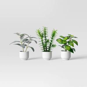 lot 509 image: 2 pack Herb Artificial Plant Multipack - Room Essentials�� - Retail $5