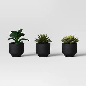 lot 510 image: 3 pack Succulent Multipack - Room Essentials�� - Retail $5