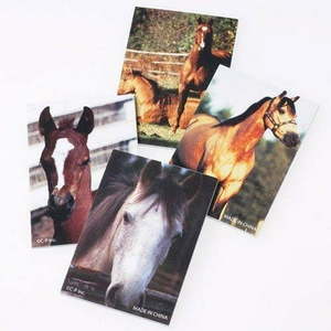 lot 30173 image: Horse Party Memo Pad Party Favors (12 ct)