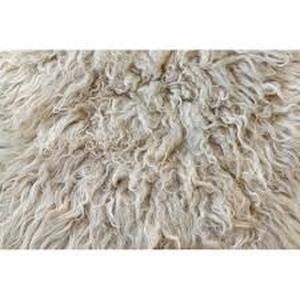 lot 29856 image: Sheepskin Canvas Print by Barcin