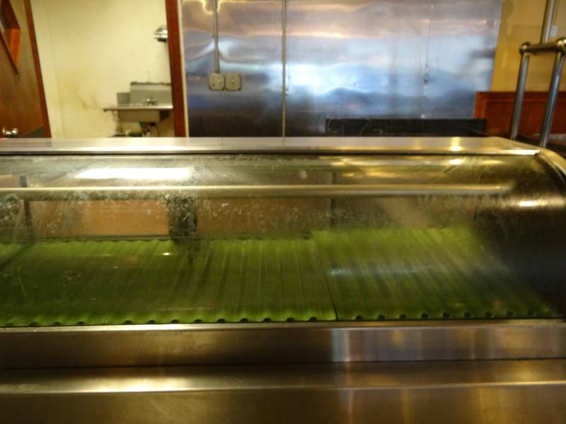 lot 5219 image: Hoshizaki Counter Top Display Case Model # HNC-150BA-L-S