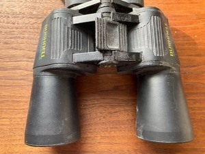 lot 259 image: Bushnell Binoculars, Dusty but in Working Condition