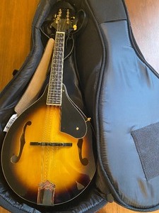 lot 294 image: Mitchell Mandolin in Road Runner Case, Very Nice Condition