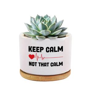 lot 2269 image: Keep Calm Not That Calm Nurse Gifts Ceramic Succulent Plant Pot with Bamboo Tray Round Doctor EMT Nursing Student Cardiologist Home Office Decor Plant Lover 3.5 Inch White (No Plants)