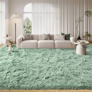 lot 5476 image: FinRec 8x10 Feet Rugs for Bedroom Living Room, Light Green Fuzzy Shaggy Area Rug, Non-Slip Fluffy Furry Rugs for Kids Room Dorm Room Home Decor, Indoor Plush Floor Carpet