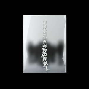 lot 6177 image: Enhypen - Desire  Unleash make Ver. - Music and Performance - CD