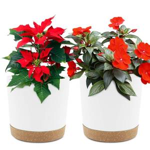 lot 6219 image: QCQHDU 6.5 inch Plant Pot, 2 Pack Planters for Indoor Plants with Drainage Holes and Saucer, Outdoor Flower Pots Home Garden Modern Decor