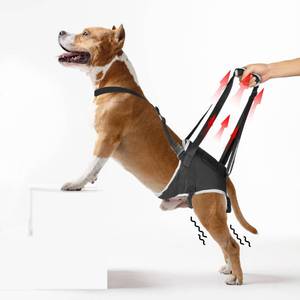 lot 8125 image: XUVIRA Dog Lift Harness - Post Surgery Support for Senior Dogs and Hip Dysplasia, Adjustable Sling for SmallMediumLarge Dogs, Potty-Friendly and No-Slip Design with Reflective Safety, XL