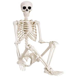 lot 11259 image: QUSTGO 5.4 ft Halloween Skeleton - Life Size Human Skeleton with Full Body Posable Joints - Spooky Scary Plastic Skeleton for Outdoor Decoration, Halloween Party Decor, Haunted House Props