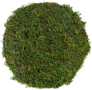 lot 12407 image: SuperMoss (26280) Mossy Placemat, Fairy Garden Table Wedding Decor Preserved Forest Moss, 12 in Round