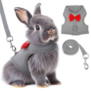 lot 12421 image: Bunny Harness and Leash Set, Soft Breathable Mesh Rabbit Leash Vest with Safety Buckles, Lightweight Escape-Proof Walking Gear for Rabbits, Kittens, Ferrets, Guinea Pigs, Grey M