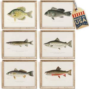 lot 14453 image: DREAM BIG PRINTABLES Vintage Fishing Decor (Set of 6) - Unframed - 8x10s  Fish Wall Art Prints  Great Gift for Fishermen