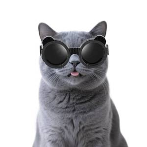 lot 16208 image: Enjoying Cat Goggles, Cat Sunglasses UV Protection, Pet Goggles for Cats XS to Small Dogs, Outdoor Kitty Puppy Eye Protection, Adjustable Straps, Black