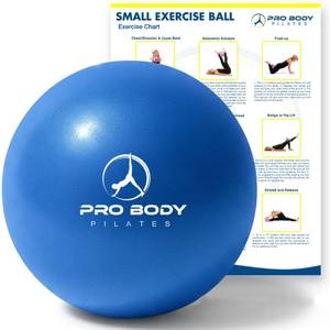 lot 18108 image: ProBody Pilates Small Exercise Ball - 9 Inch Workout Ball for Stability, Barre, Yoga, Core and Physical Therapy, Home Gym and Office Use (Blue)