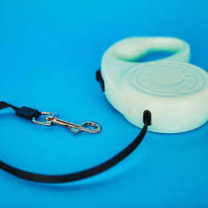 lot 10448 image: Retractable Dog Leash 2pk Mint Green