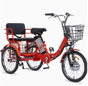 lot 1001 image: Two Seater Electric Tricycle For Adults, 20 Inch Tire, Peak 500W Motor, 48V 13Ah Removable Li-Ion Battery, Up to 50 Mile Range- Retail $1879