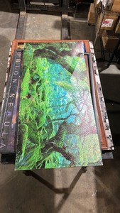 lot 354205 image: Bundle OF 5 Large Frames Original Orion Nebula Wall Art Collection - Retail $450