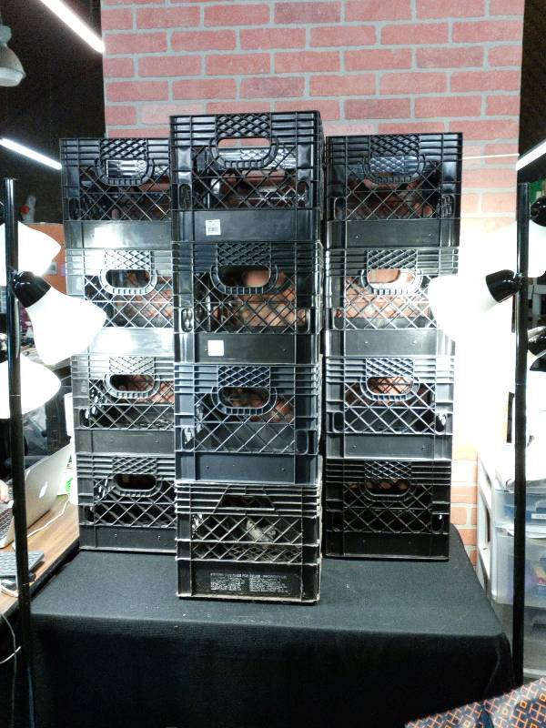 lot 102 image: Miller Milk  Crates  Square 16 Qt