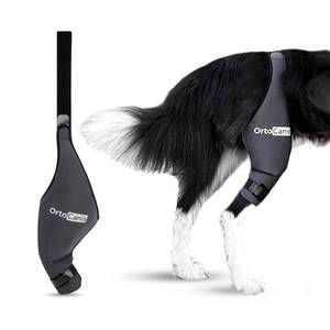 lot 6112 image: Ortocanis Dog Knee Brace for Torn Acl Hind Leg, Cruciate Ligament Injuries, Patella Dislocation or Osteoarthritis - Dog Acl Knee Brace - Dog Braces for Back Leg for Support (XX-Large, Left Leg)