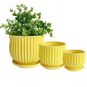 lot 7491 image: Nattol Yellow Ceramic Flower Pots with Saucers, Modern Round Ceramic Succulent Plant Pots with Stripe Texture, Small to Medium Sized, Set of 3