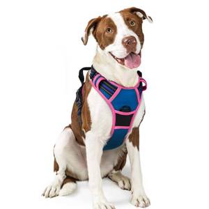 lot 8020 image: rabbitgoo Dog Harness No Pull with 2 Leash Clips, Adjustable Soft Padded, Reflective Oxford No Choke Pet Vest with Easy Control Handle for Large Dogs, Blue and Hot Pink, L