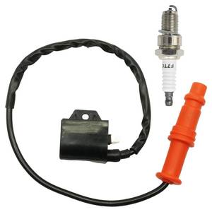lot 8021 image: Hoypeyfiy 3089239 Ignition Coil and Spark Plug, Replacement for Polaris Sportsman 400 2005-2014 Ranger 400 2010-2014, Replaces 3089239