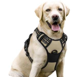lot 8405 image: rabbitgoo Dog Harness No Pull with 2 Leash Clips, Adjustable Soft Padded, Reflective Oxford No Choke Pet Vest with Easy Control Handle for Large Dogs, Beige, L