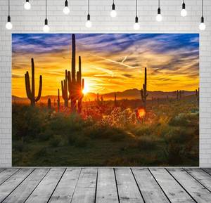 lot 10409 image: BELECO 8x6ft Fabric Arizona Desert Scenery Backdrop for Photography Saguaros Cactus Wilderness Mountains Sonoran Desert Sunset Background Western Desert Theme Party Decorations Photo Studio Props