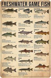 lot 12017 image: Smilelife Boyfts Fishing Gifts Vintage Fresh Water Gamefish Knowledge Tin Sign for Man Cave Boys Hunting Room Bedroom Lake House Cabin Wall Art Decor 8x12 Inch (3069)