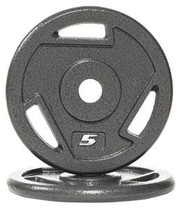 lot 15829 image: Signature Fitness Cast Iron Plate Weight Plate for Strength Training and Weightlifting, 1-Inch Center (Standard), 5LB (Set of 2)