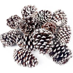 lot 17254 image: JOHOUSE 12PCS Large Snow-Dusted Pine Cones�Natural Big Pinecones for Christmas Tree Ornaments, Wreath Making, Bowl Fillers, DIY Crafts and Winter Vase Filler