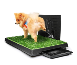 lot 1030 image: Hompet Dog Grass Pad with Tray Large, Puppy Turf Potty Reusable Training Pads with Pee Baffle, Artificial Grass Patch for Indoor and Outdoor Use, Ideal for Small and Medium Dogs (30�20)