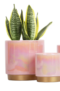 lot 1060 image: Pink Indoor Plant Pots for Plants