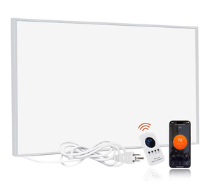 lot 1155 image: Space Heater for Indoor Use 600W�� Wall Mounted Smart Infrared Heating Panel Appliance with Thermostat, Overheating Protection, Energy Efficient, 100% Flame Retardant, 10-Year Warranty
