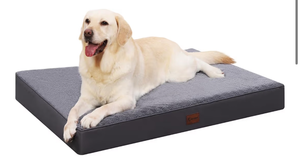 lot 1185 image: Dog Bed Replacement Insert 36x48