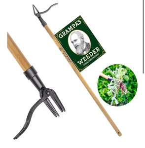 lot 1203 image: Grampas Weeder - The Original Stand Up Weed Puller Tool with Long Handle - Made with Real Bamboo & 4-Claw Steel Head Design - Easily Remove Weeds Without Bending, Pulling, or Kneeling.