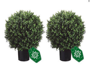 lot 1268 image: 26 T x 17.5 D Artificial Boxwood Trees Set of 2 UV-Resistant Real-Touch Artificial Topiary for Front Porch and Home D�cor