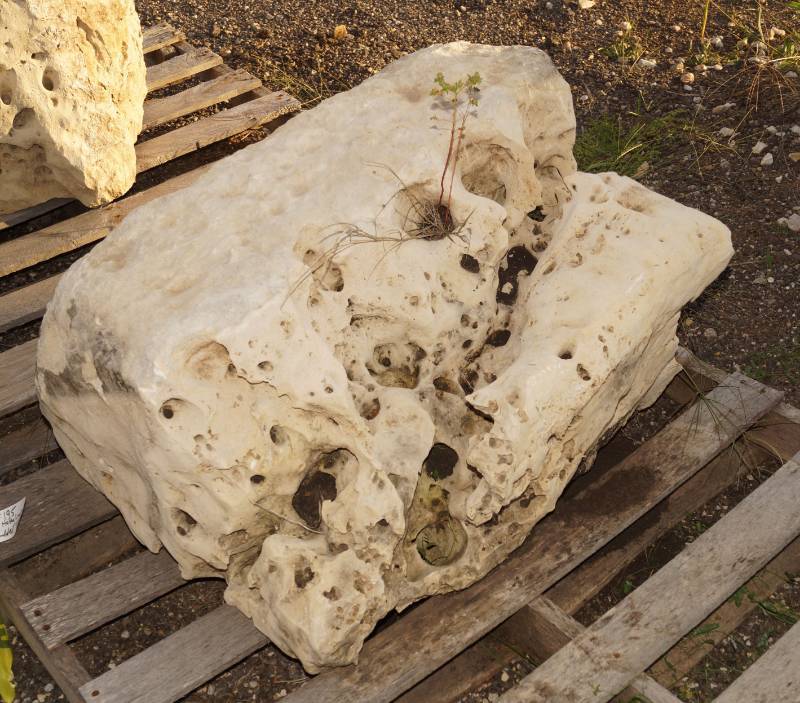 lot 5038 image: Holey Limestone boulder  - Landscaping Rocks - Yes, these are awesome