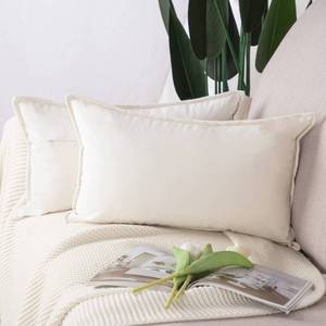lot 1041 image: MADIZZ Set of 2 Super Soft Velvet Decorative Throw Pillow Covers 12x20 inch White Rectangular with Fringe Luxury Style Cushion Case Pillow Shell for Sofa Bedroom - Retail $16