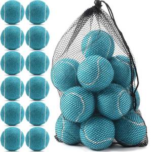 lot 8325 image: INSUM Bulk Tennis Balls for Beginner �� 12 Pack High Elasticity Practice Tennis Balls with Mesh Bag, Suit for Pet Dog Training, Fetching (Light Blue)