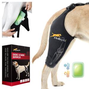 lot 8359 image: Dollephi Dog Knee Brace for Torn ACL Hind Leg, HotCold Compress for Patella Dislocation or Osteoarthritis, Cruciate Ligament Injuries, for Medium & Large Dogs,Patent Pending(Right Leg,XL)
